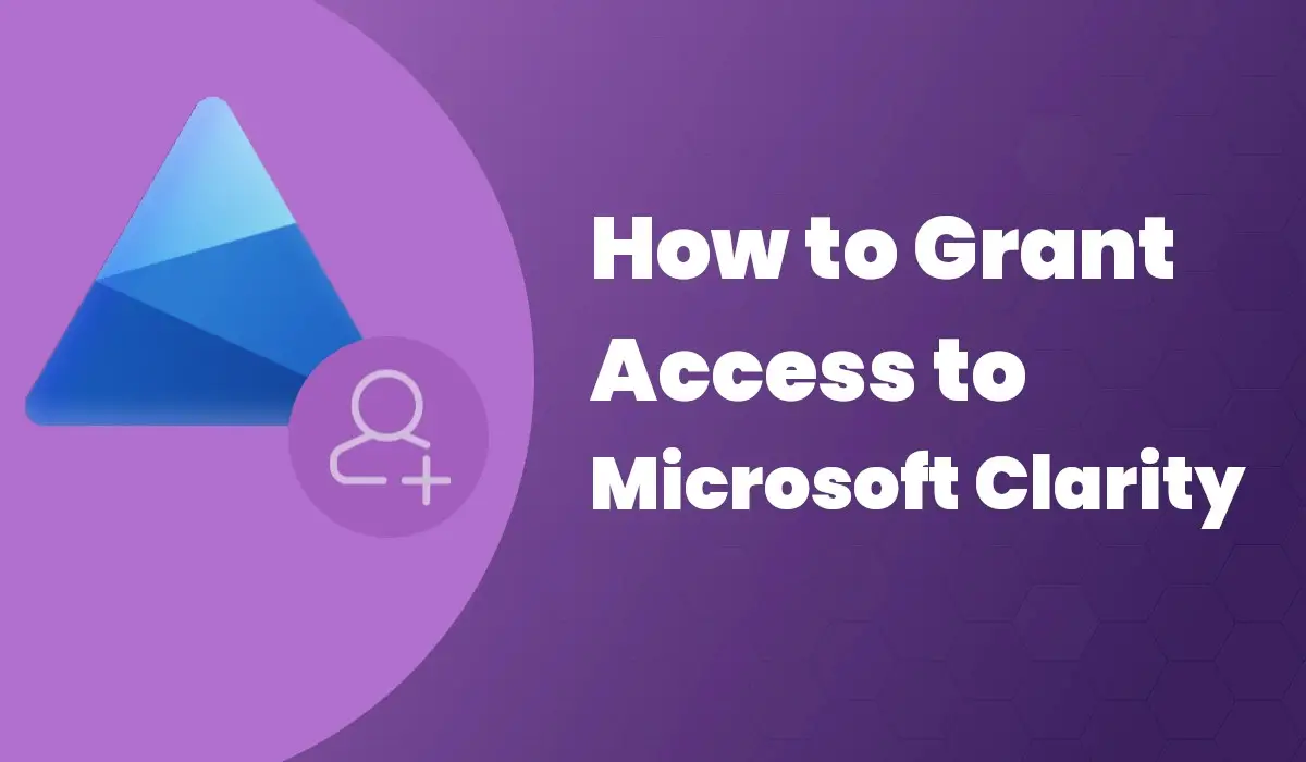 How to Grant Access to Microsoft Clarity