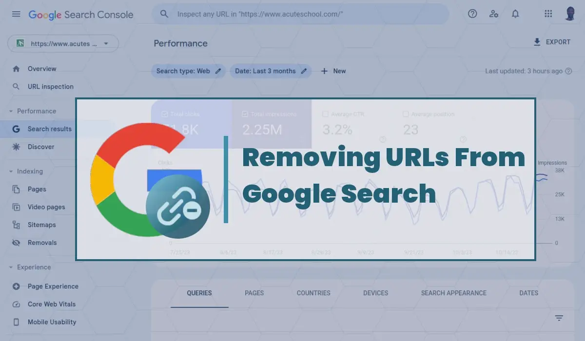 How to Remove URLs from Google Search