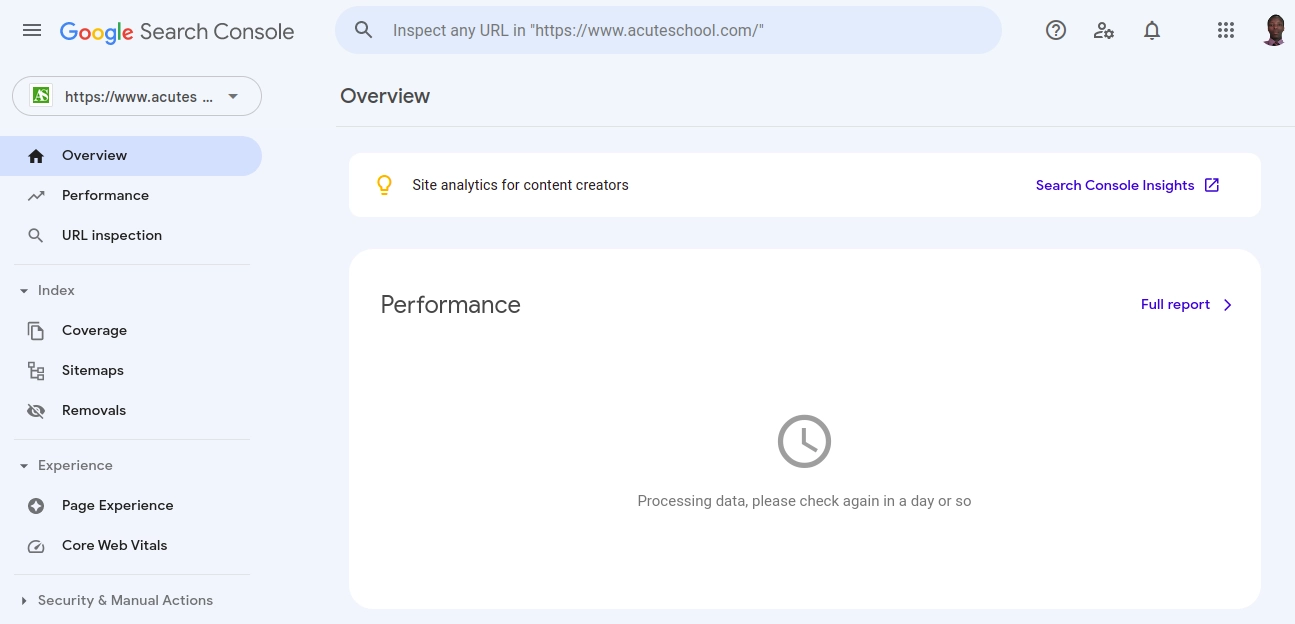 Google Search Console overview page