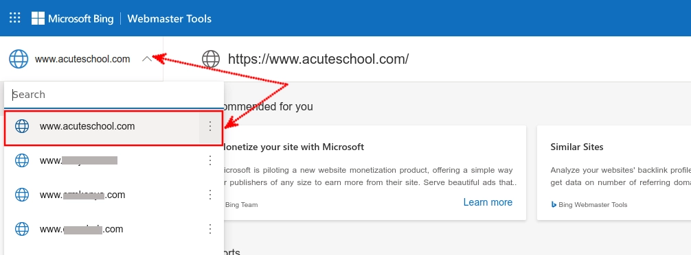 Selecting a website in Microsoft Bing Webmaster Tools